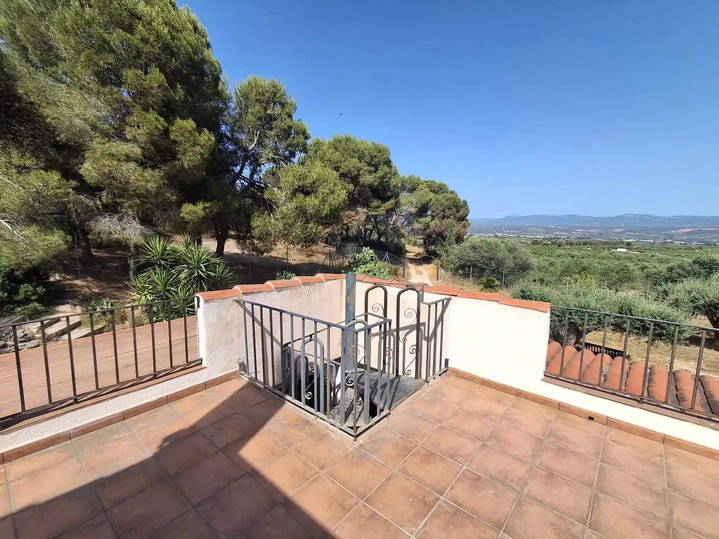 Terrassa de Finca rústica en venda en Móra d'Ebre