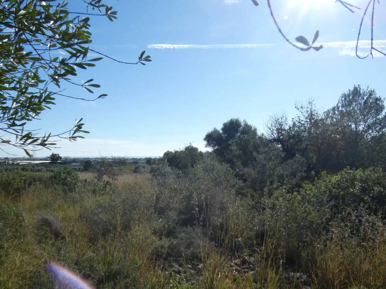 Rural land for sale in Poligono 14, PARCELA 239, imagen 4