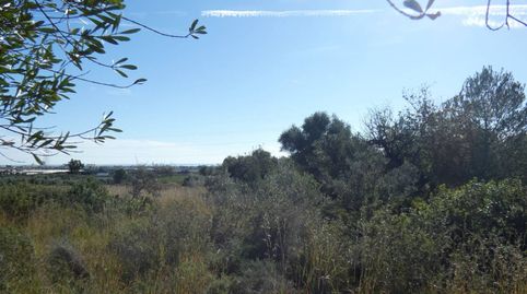 Finca rústica en venta, imatge 4