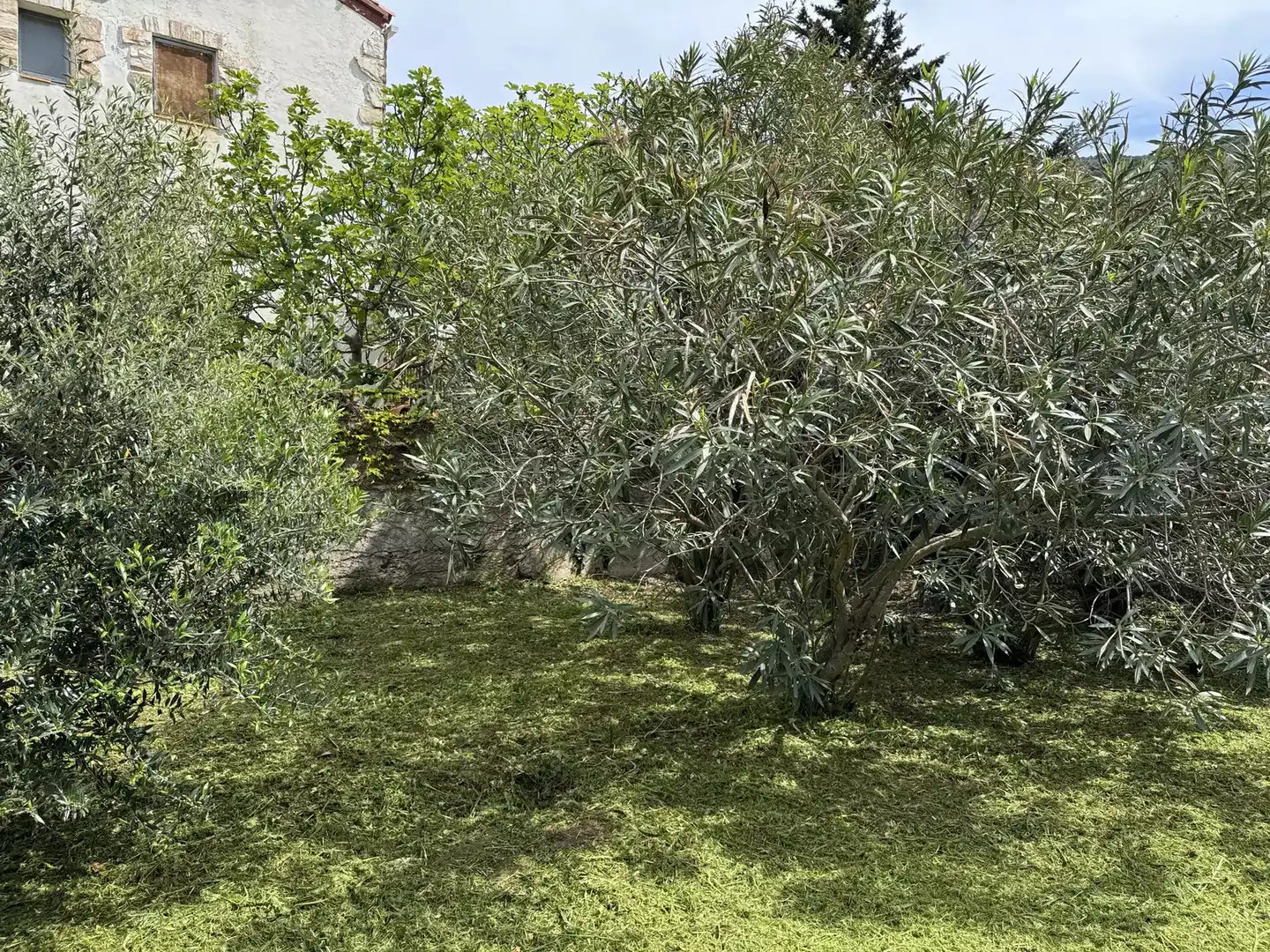 Jardín de Casa o chalet en venta en Colera con Jardín privado y Terraza