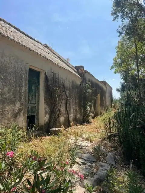 Vista exterior de Finca rústica en venda en Vejer de la Frontera amb Jardí privat