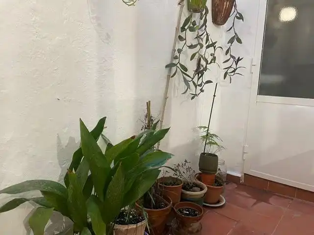 Terraza de Casa adosada en venta en Ciutadella de Menorca con Terraza y Balcón