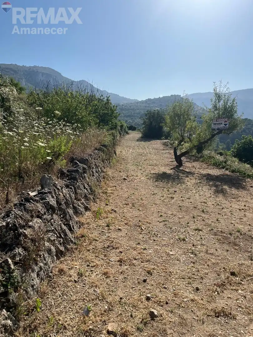 Terreny rústic en venda a La Vall de Laguar