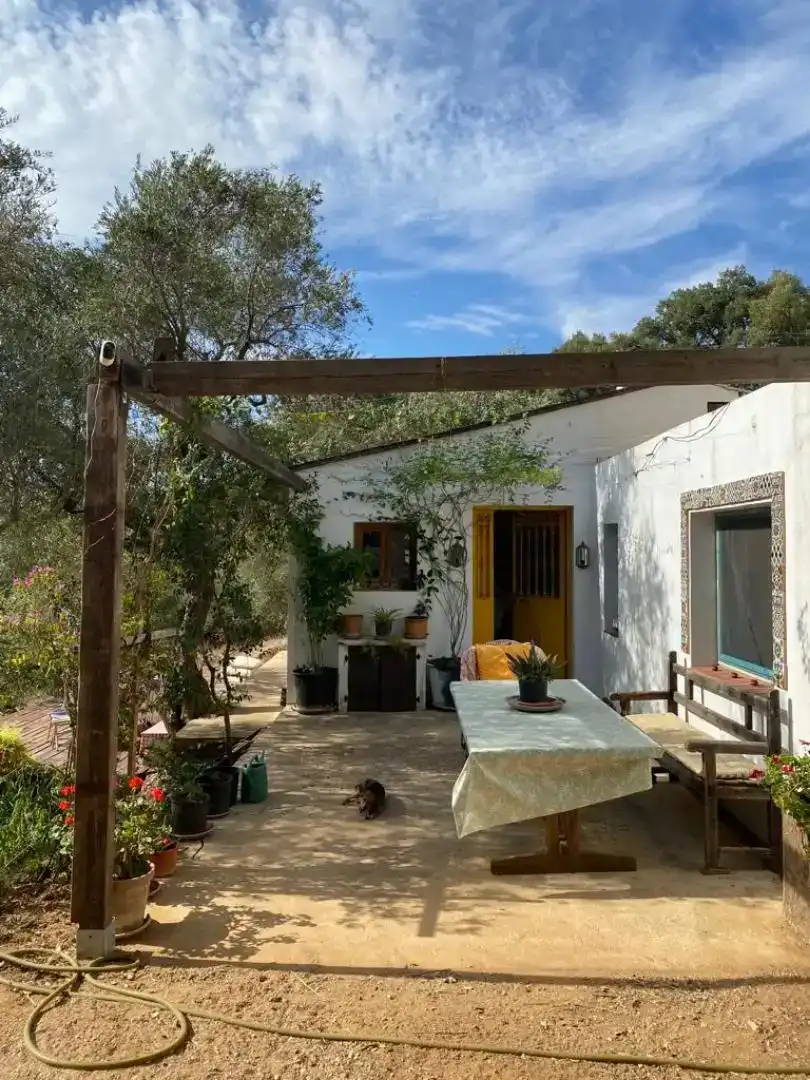 Jardí de Finca rústica en venda en Cortes de la Frontera amb Jardí privat, Forn i Rentadora