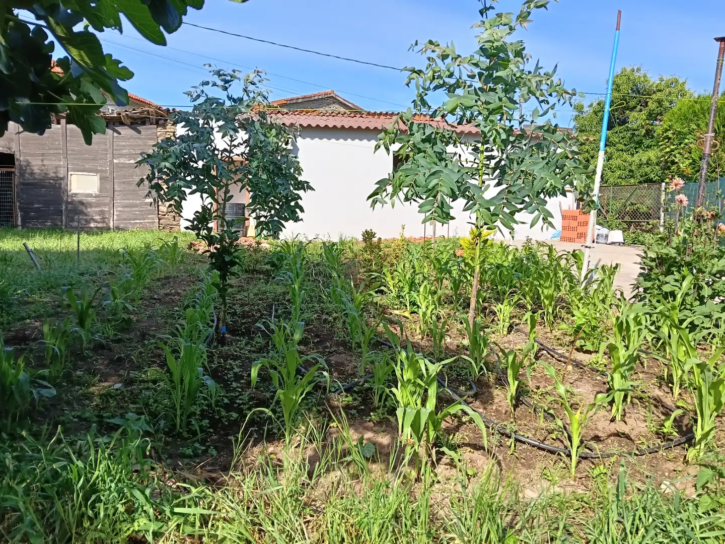 Einfamilien-Reihenhaus zum Verkauf in Carral mit Privatgarten und Abstellraum