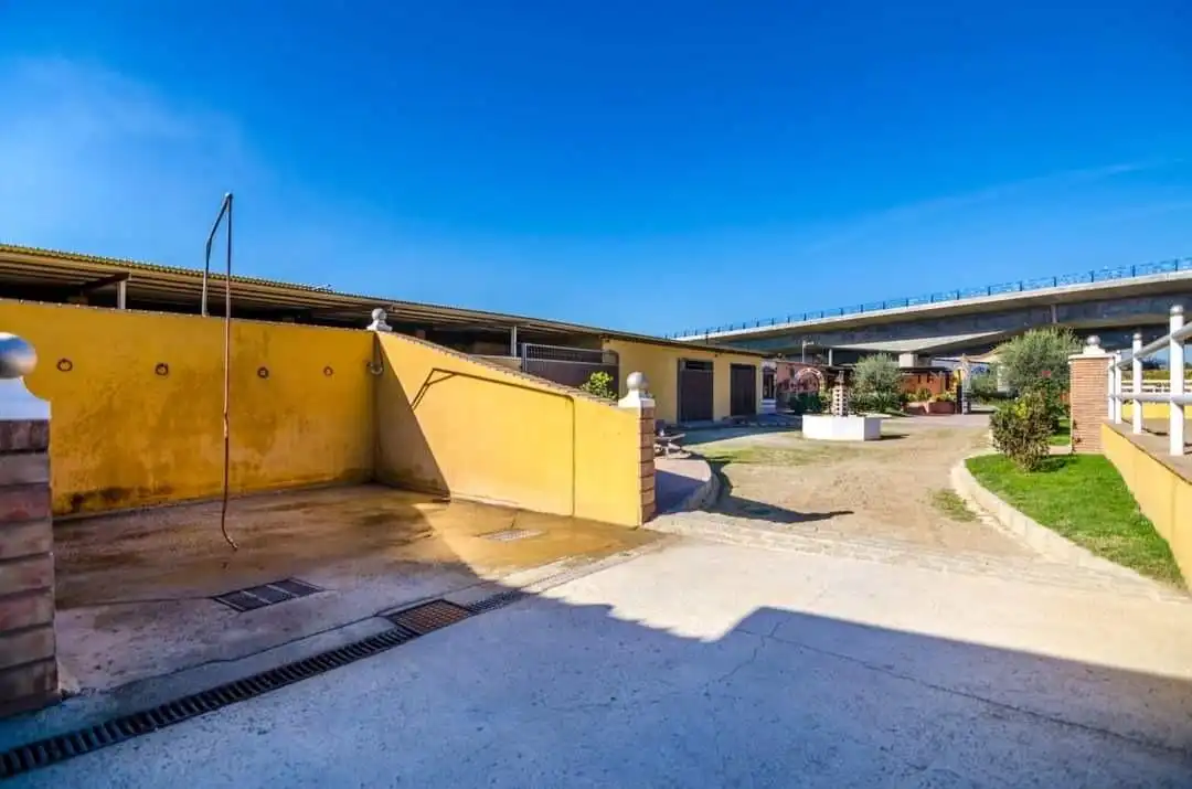 Vista exterior de Finca rústica en venta en Mijas