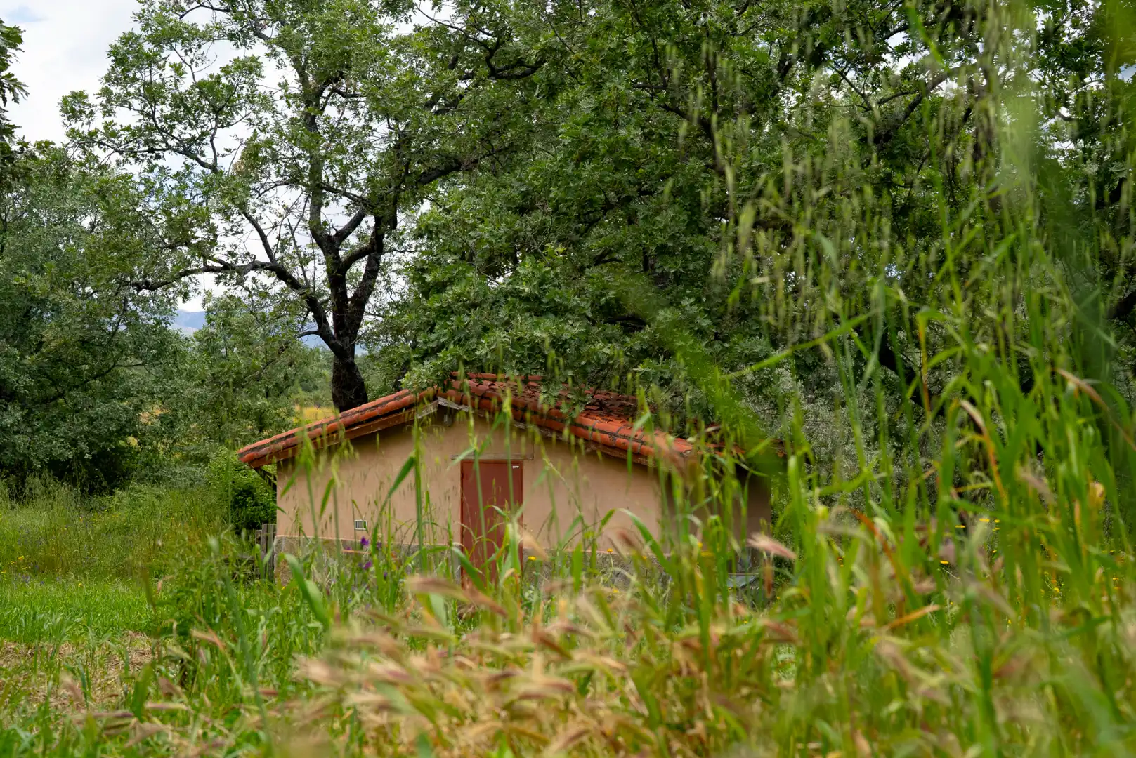 Vista exterior de Terreno en venta en Robledillo de la Vera