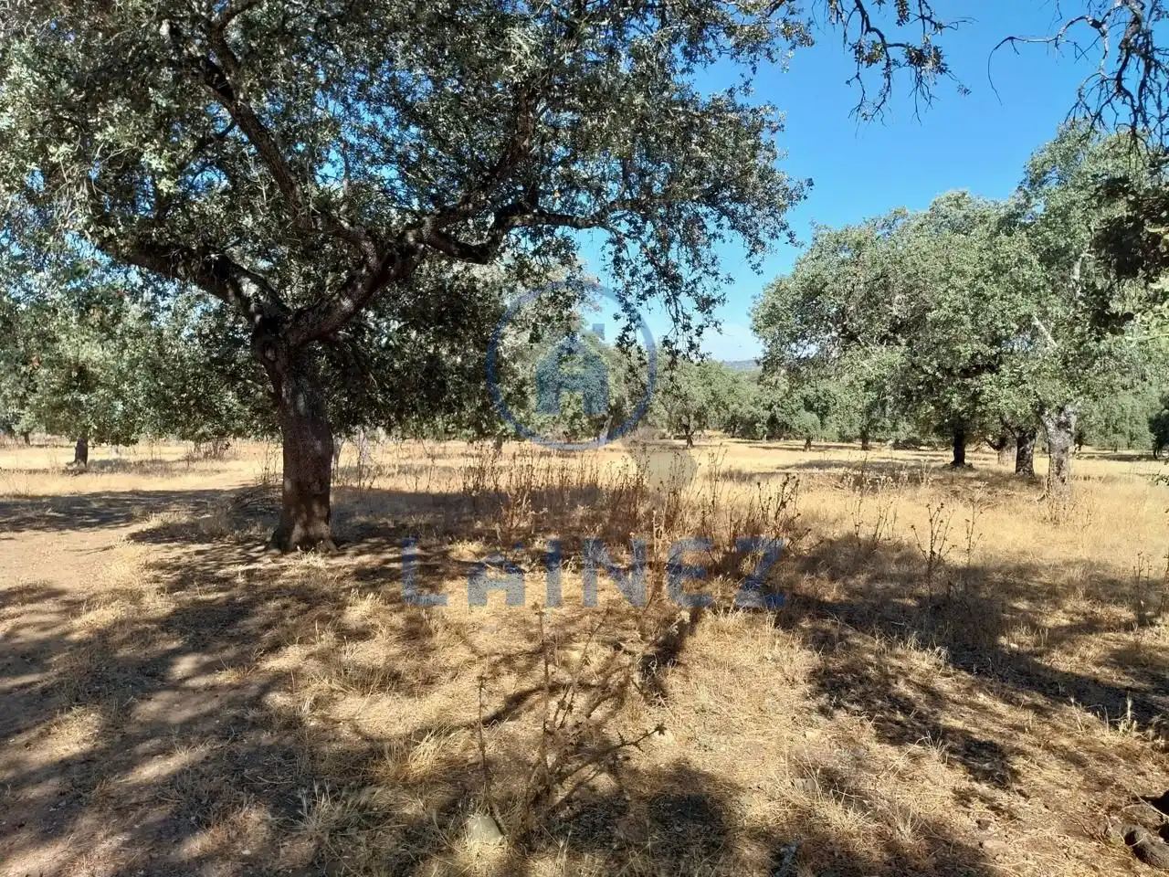 Lands and plots for sale in Fuente Obejuna, imagen 23