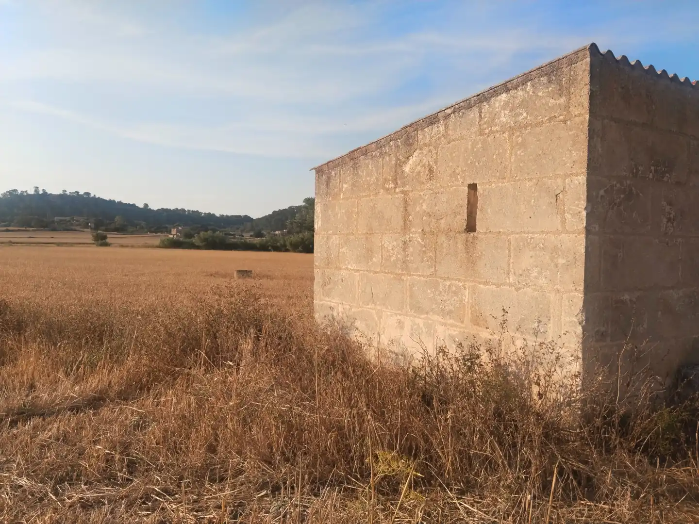 Terreno rustico in vendita a Sineu