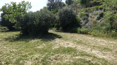 Finca Rúst. en venta en Polígonos., immagine 3