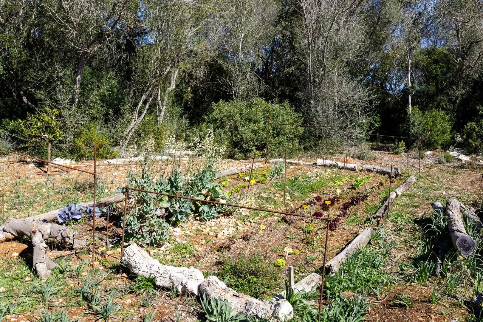 Casa rústica en venda a Sencelles, imagen 20