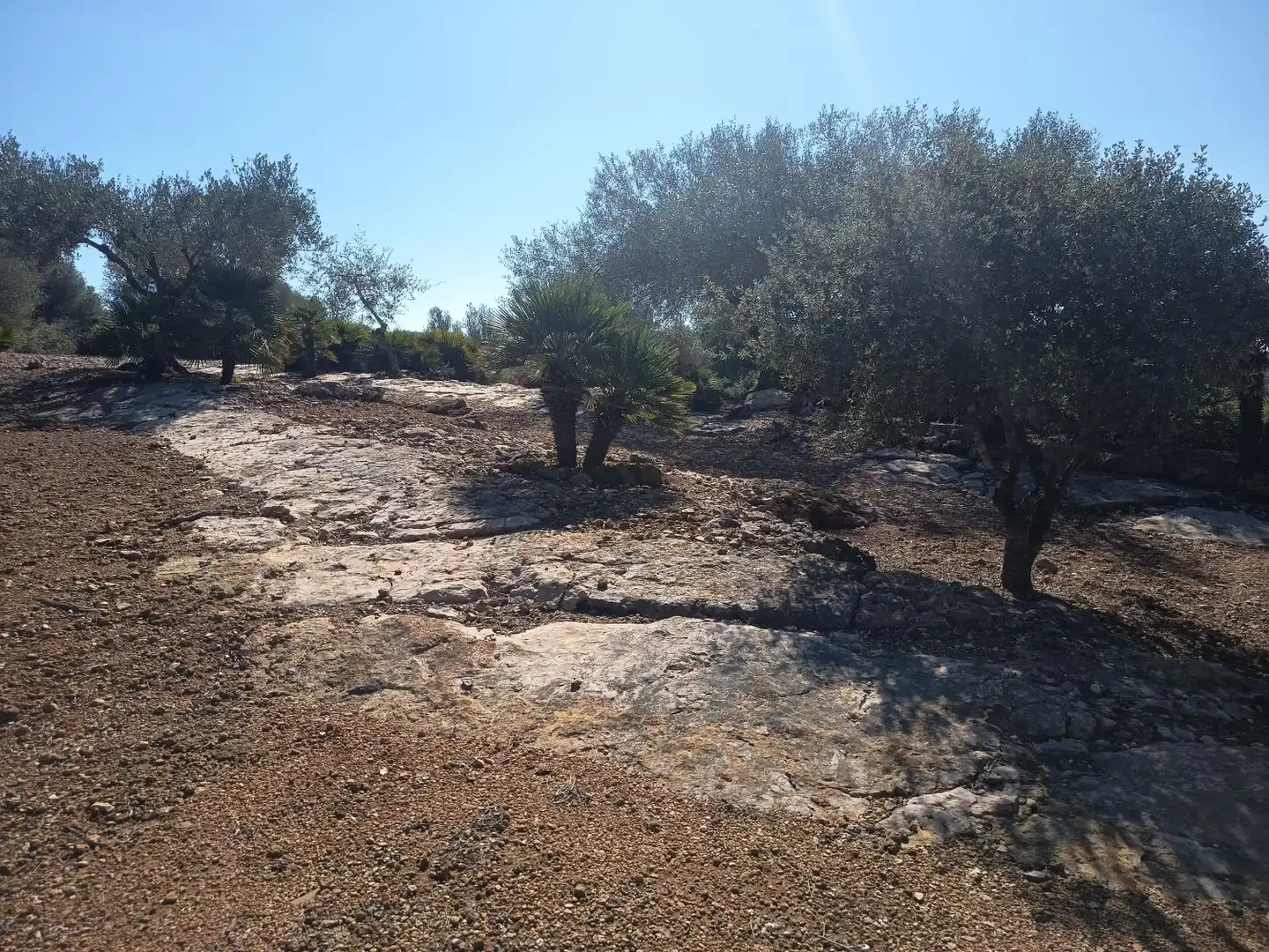 Villa avec terrasse à vendre à EL PUIG, imagen 109