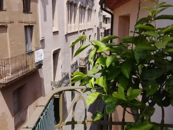 Wohnung zur Miete in Carrer de la Font Vella, 29, Barri del Centre
