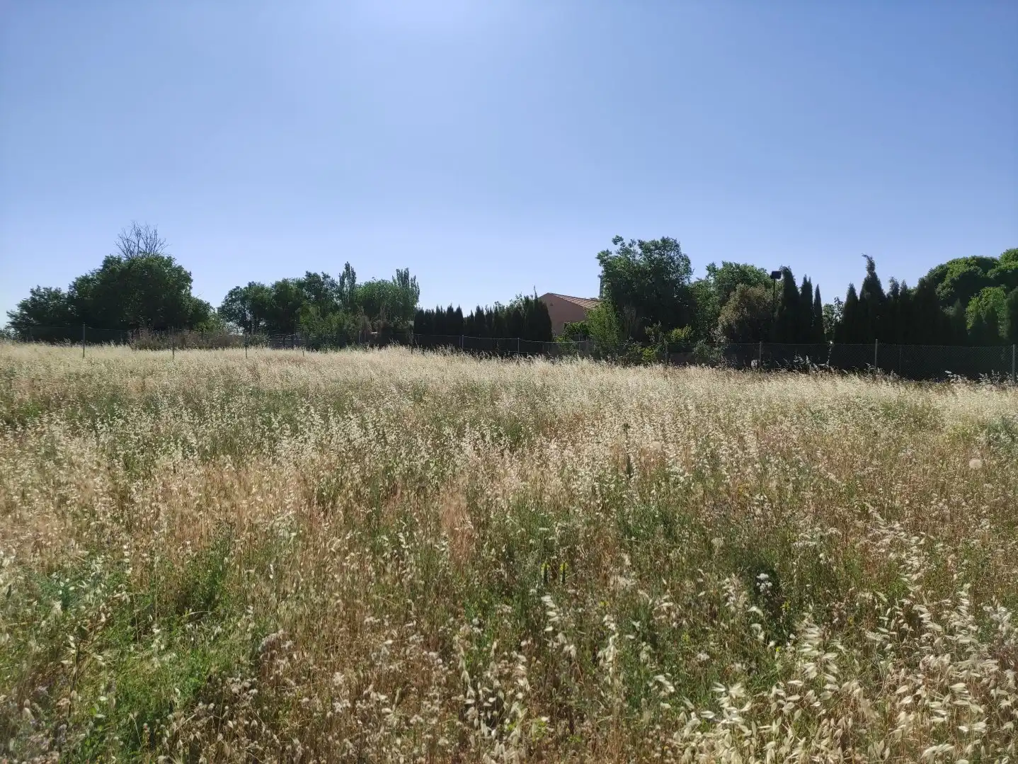 Terreni e lotti in vendita a Área Rural-Valverde-Las Casas