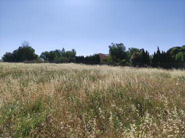 Terreni e lotti in vendita a Área Rural-Valverde-Las Casas