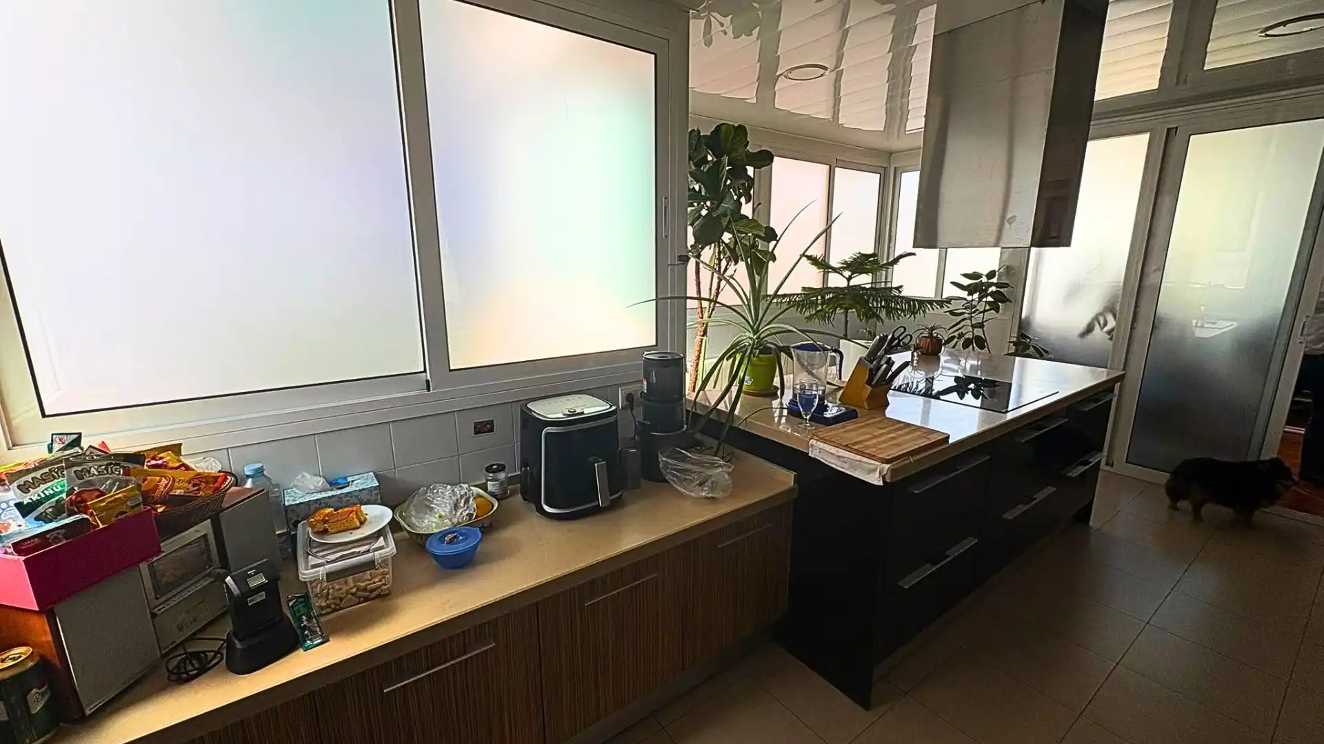 Appartement avec terrasse à vendre à Calle carrer de Rius I Taulet, imagen 7