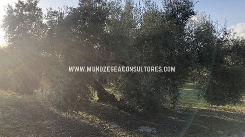 Imatge 3 de l'anunci