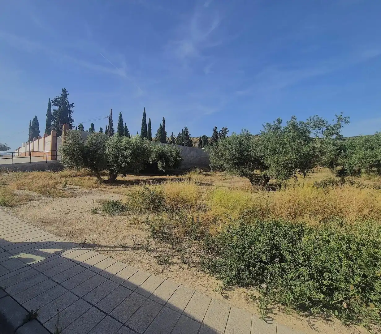 Terreno rústico en venta en Salar, imagen 4