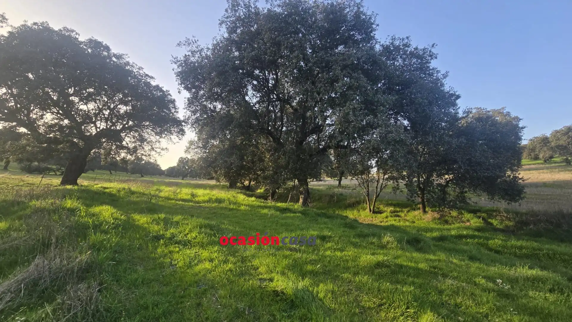 Maison rustique à vendre à Fuente Obejuna, imagen 5