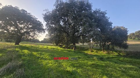 FINCA RÚSTICA DE 22 HA A LA VENTA, imatge 5