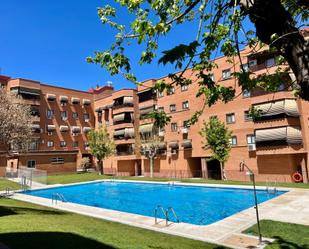 Swimming pool of Flat to rent in San Fernando de Henares  with Terrace