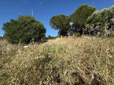 Residential land for sale in Sanlúcar la Mayor