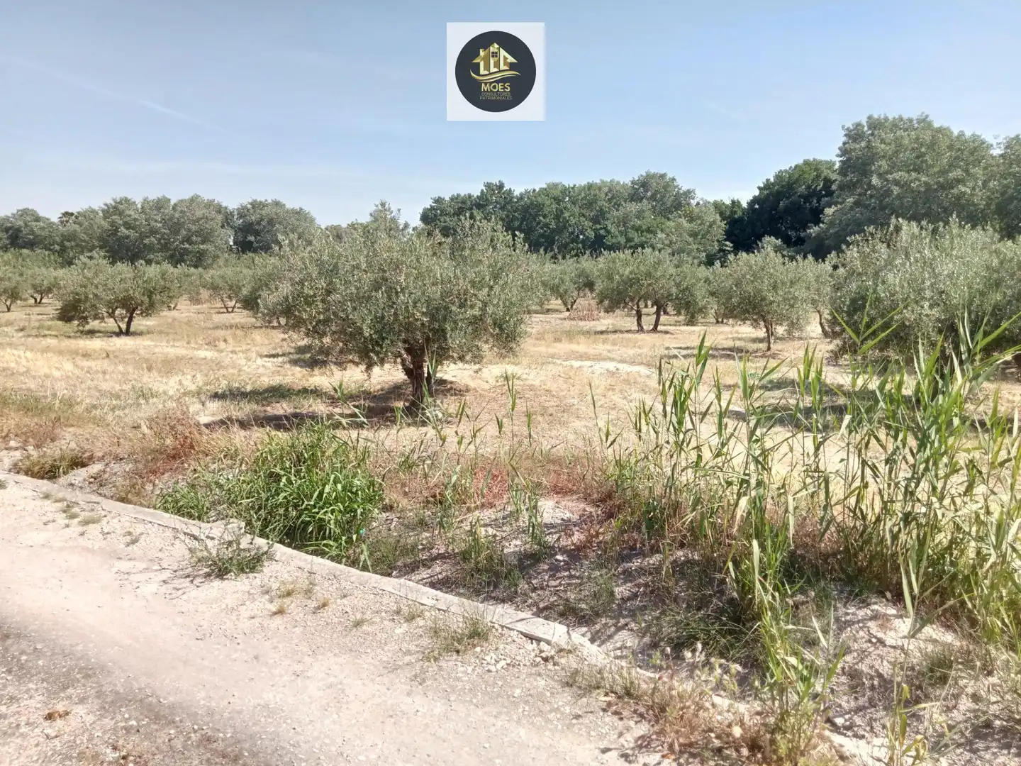 Terreni e lotti in vendita a Puente Jontoya - Puente de la Sierra - El Arroyo, imagen 2