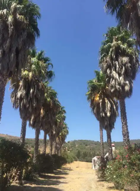 Maison rustique à vendre à San Martín del Tesorillo, imagen 8