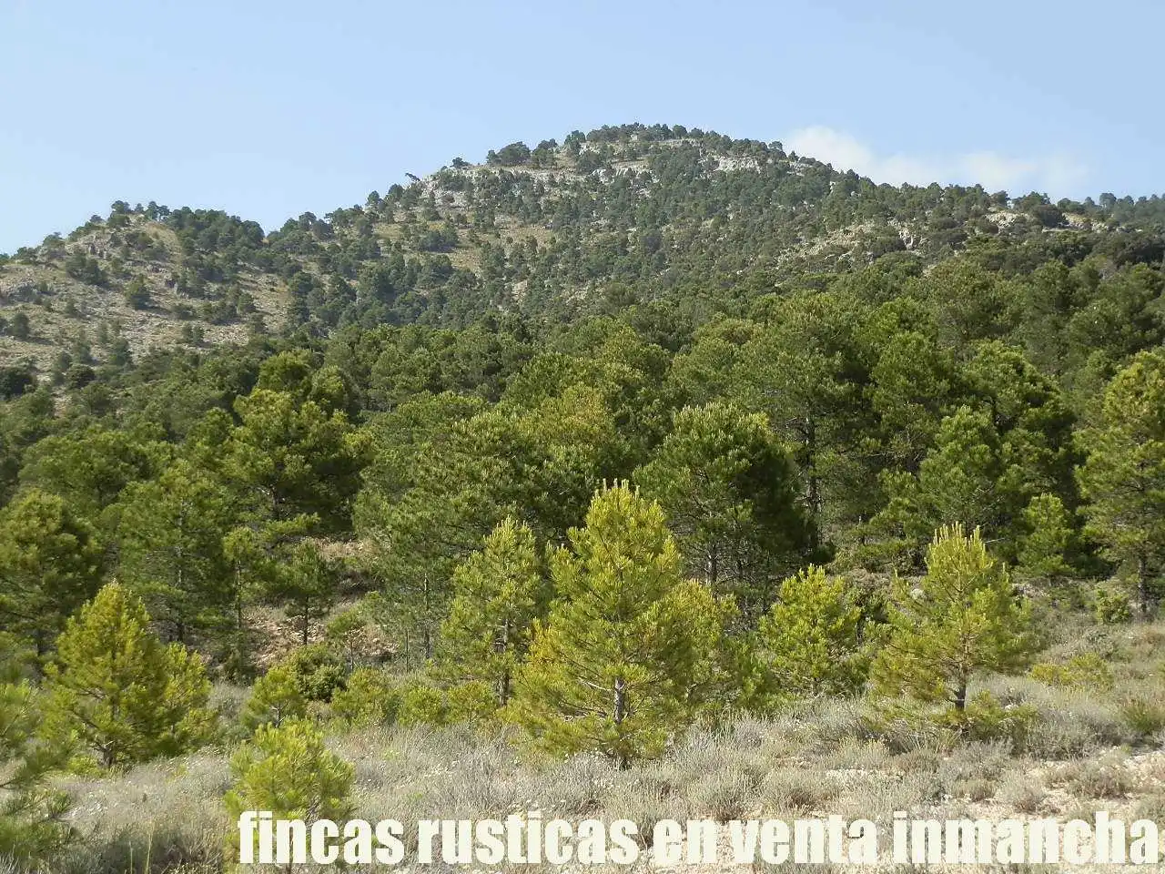 Terreno rustico in vendita a Caravaca de la Cruz, imagen 19