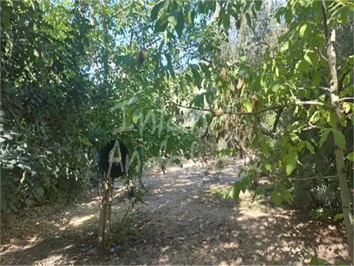 Casa rústica en venda a Iznájar, imagen 16