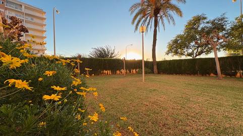 Photo 2 of Study to rent in Carrer Rafael Balaguer, La Curva, Castellón