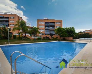 Swimming pool of Flat to rent in Montgat  with Terrace and Swimming Pool