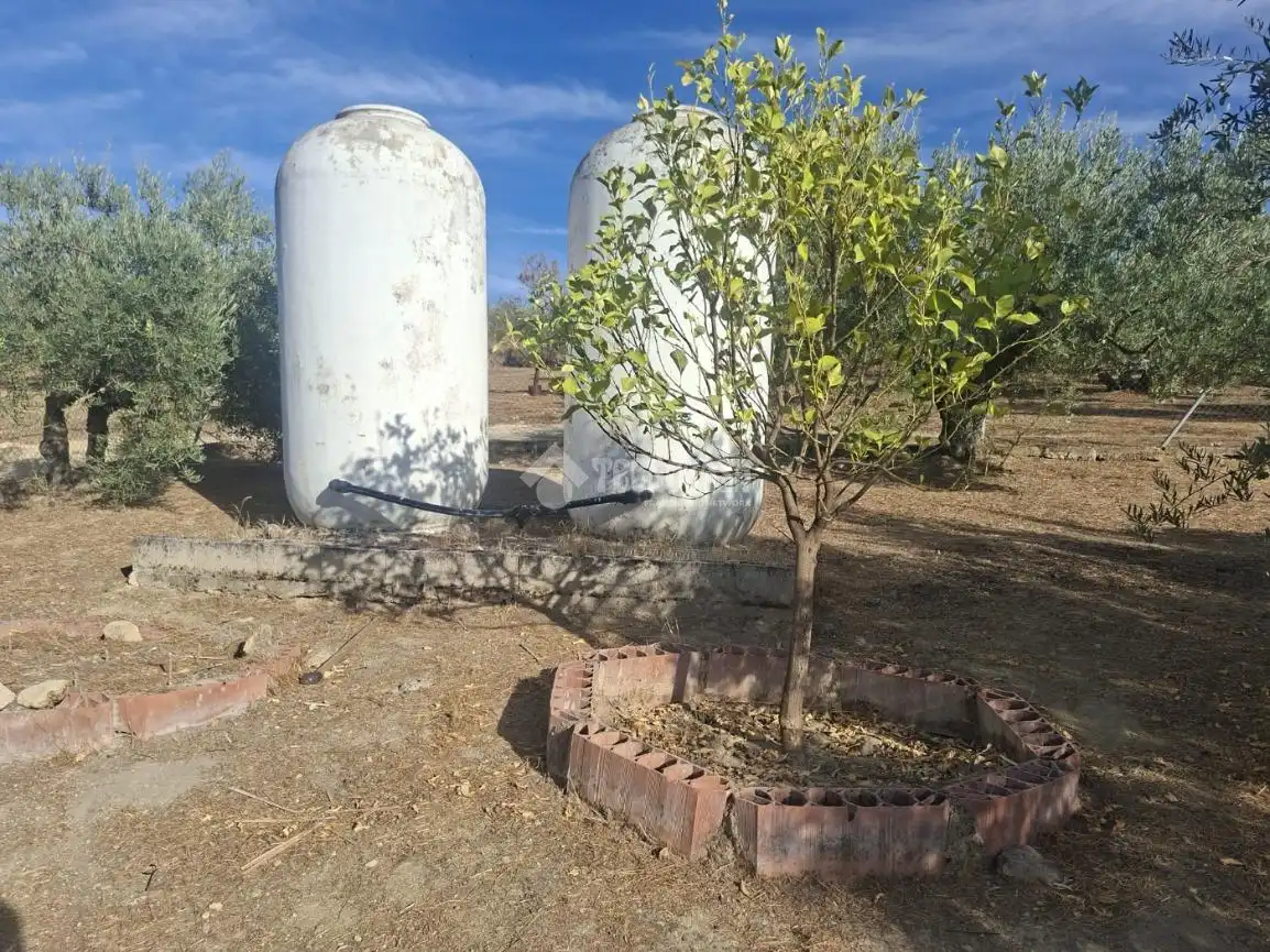 Terreny en venda en Montilla, Córdoba