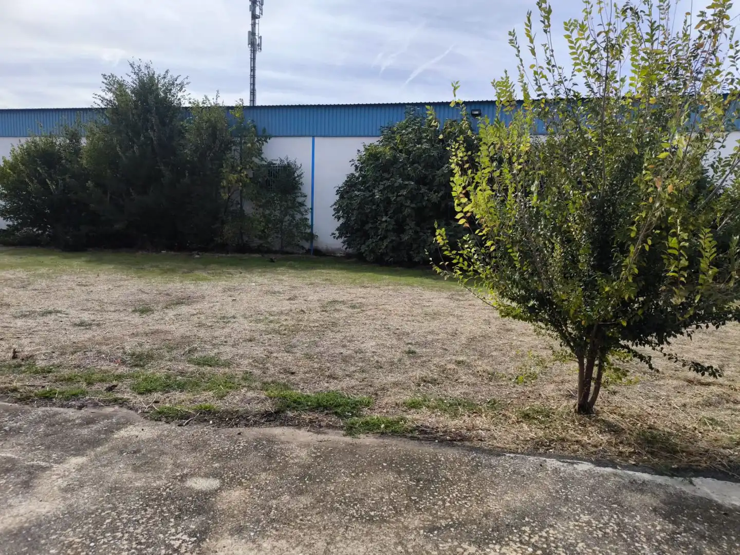 Lands and plots for sale in Valdepeñas, imagen 5