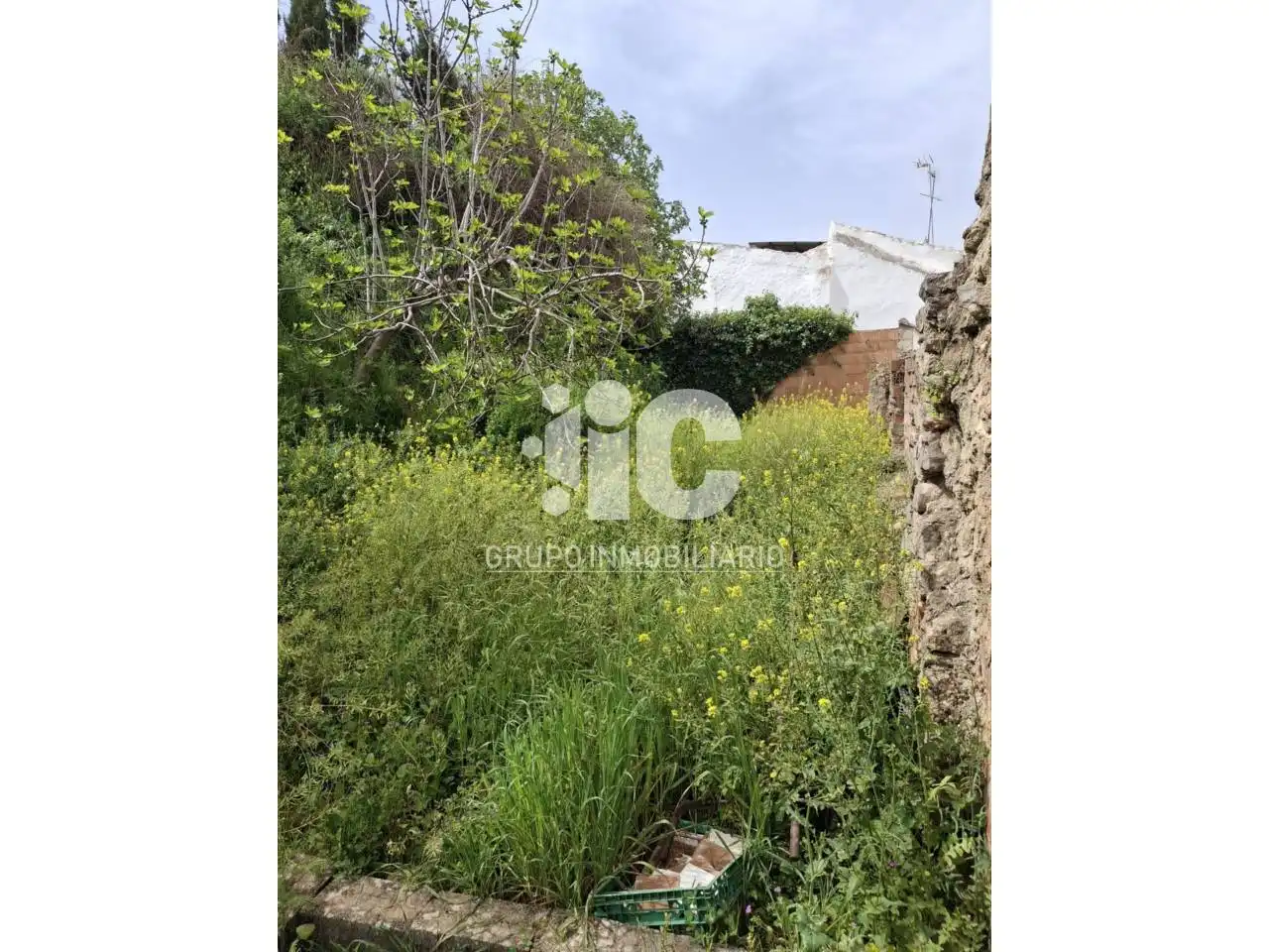 Casa amb jardí en venda a Priego de Córdoba, imagen 18