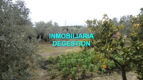 Photo 3 of House or chalet for sale in San Roque - La Cruz - La Rozuela, Linares