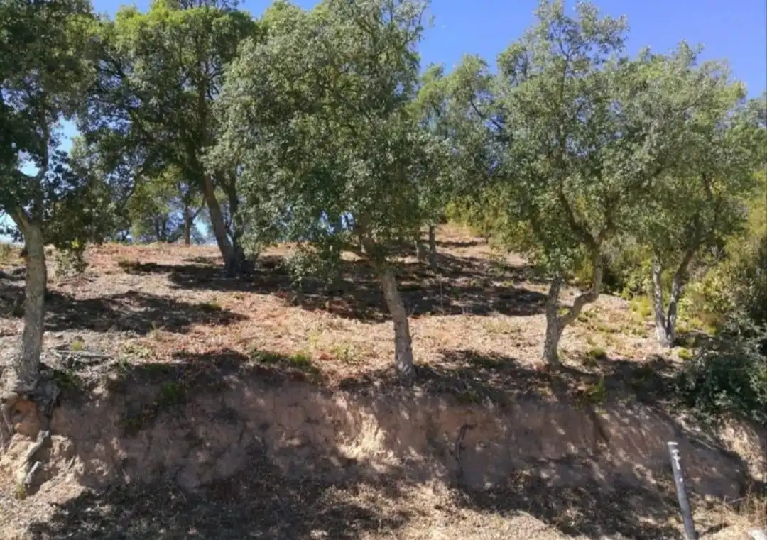 Terreno residencial en venta en Carrer de la Cornisa, imagen 3