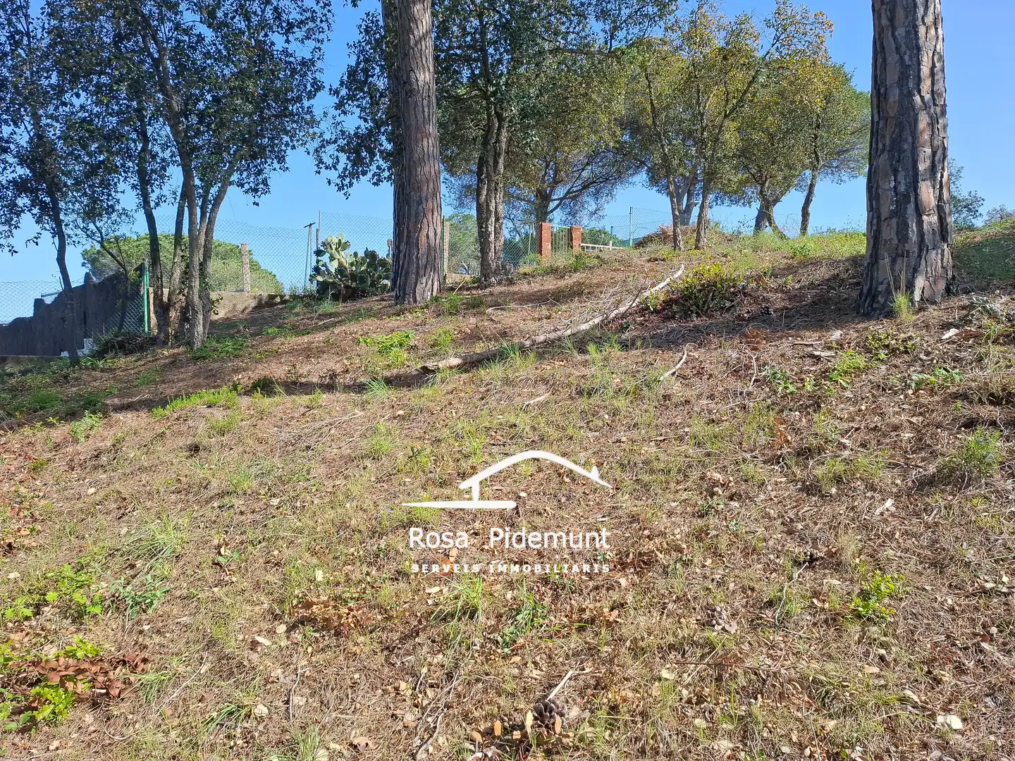 Residential land for sale in Carrer Finestrelles, imagen 11