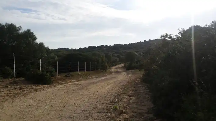 Land for sale in Cádiz