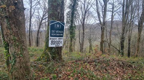 Photo 5 of Land for sale in Aldura Gunea Aldea, 56, Zamalbide, Gipuzkoa