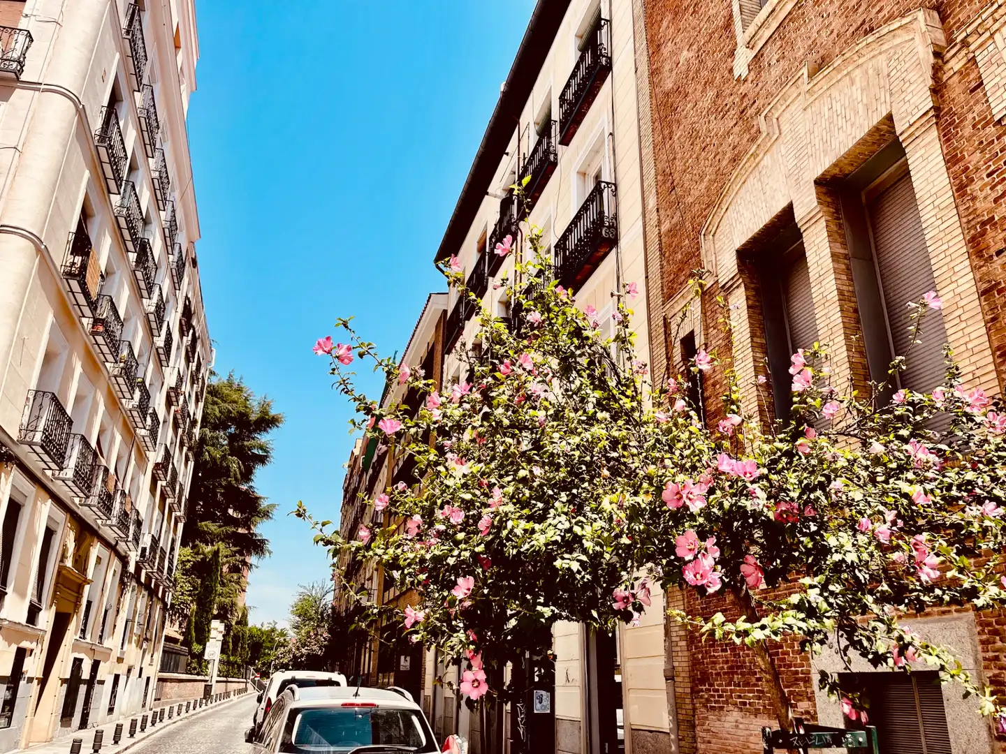 Flat with lift for sale in Calle de San Buenaventura, imagen 9