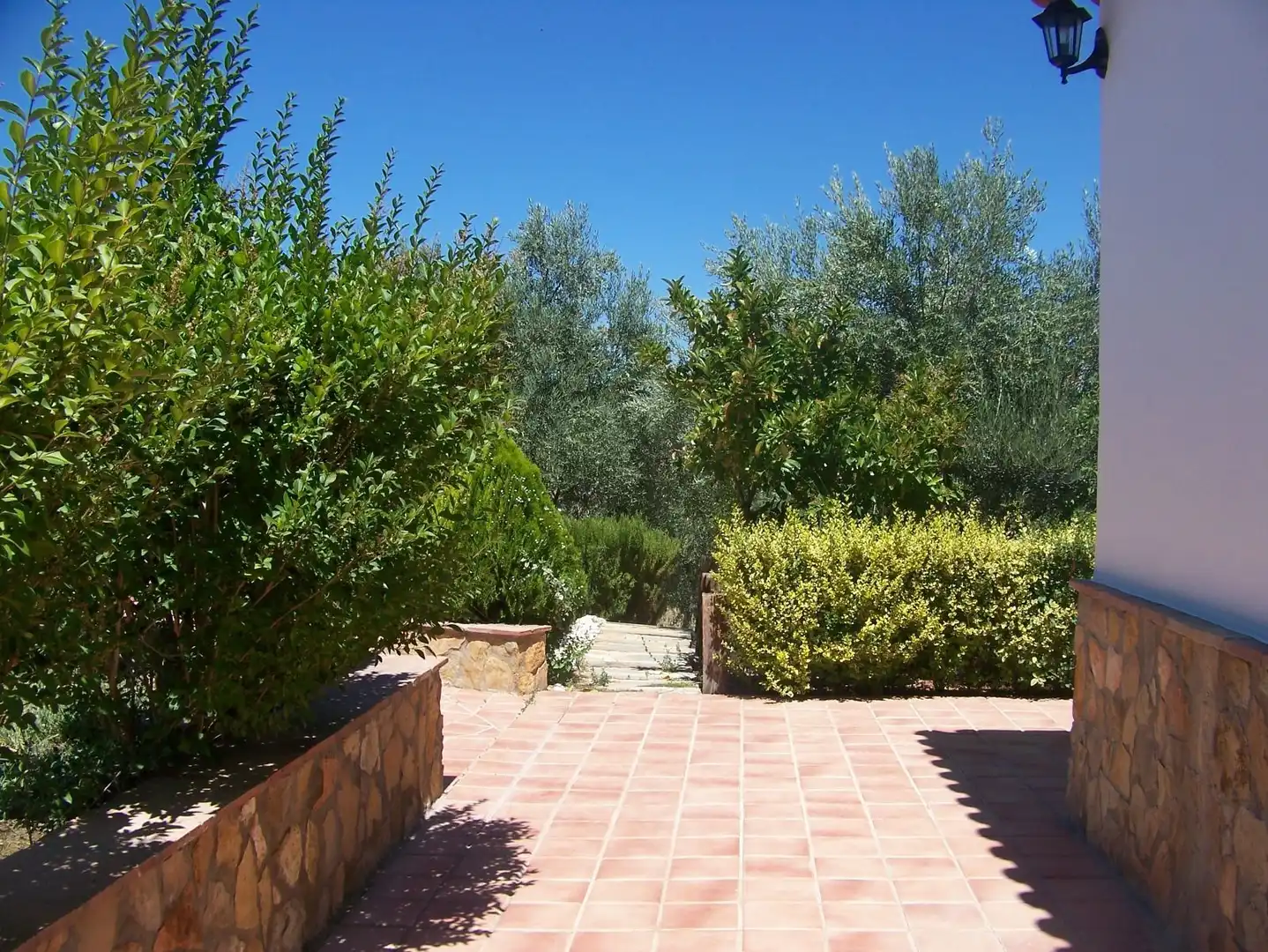Finca rústica en venta en Arriate