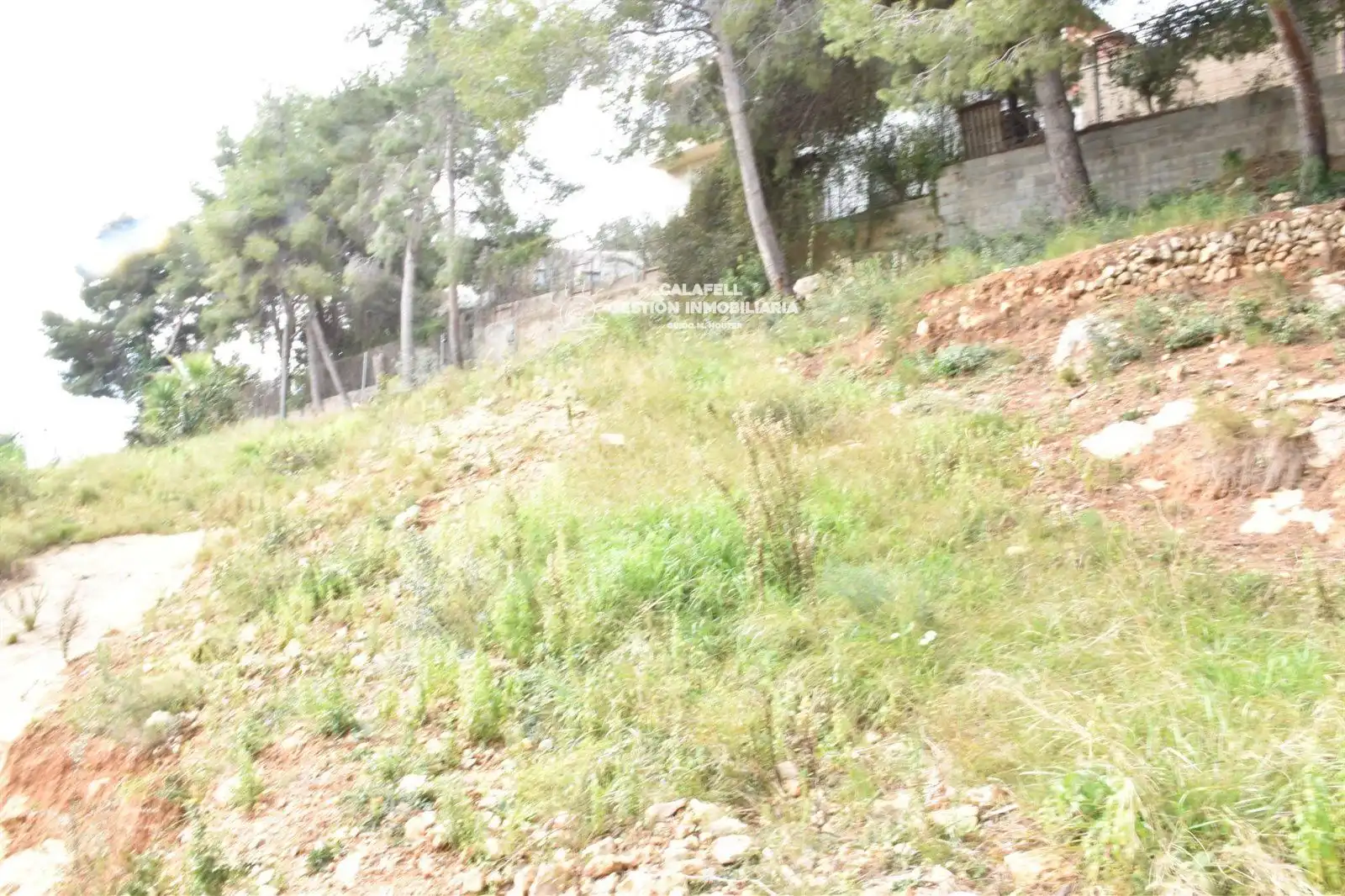Rural land for sale in GLADIOL, imagen 9