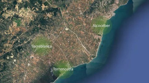 Photo 4 of Land for sale in Ptda Bustalet, Varias Parcelas, Torreblanca, Castellón