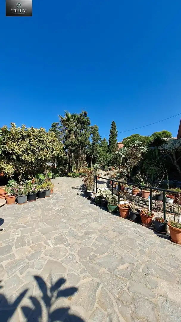 Jardí de Casa o xalet en venda en Almuñécar