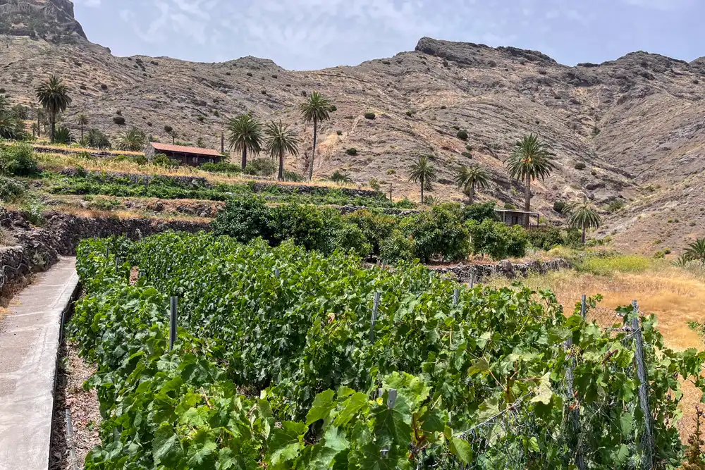 Vista exterior de Finca rústica en venda en Vallehermoso amb Terrassa