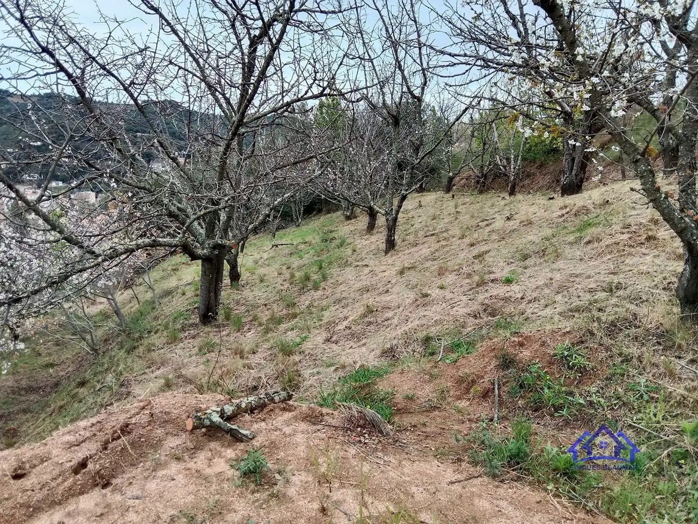 Rustikales Grundstück zum Verkauf in Arenys de Munt, imagen 14