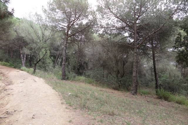 Terreno en Venta en CAN POI  DEL BOSC en Can Violí  - Can Poi del Bosc