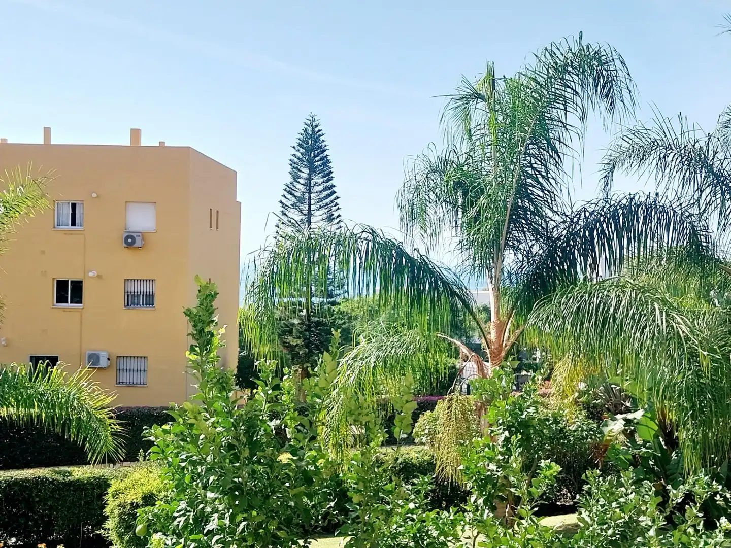 Appartement compact avec terrasse à vendre à Calle LINCE IBERICO, imagen 6