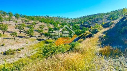 Finca Rúst. en venta en VélezRubio., immagine 2